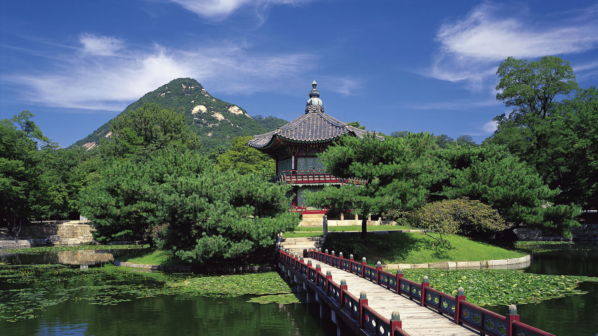 九游游戏中心-【球迷热情】现场气氛火爆，粉丝如何助威，球迷助威视频