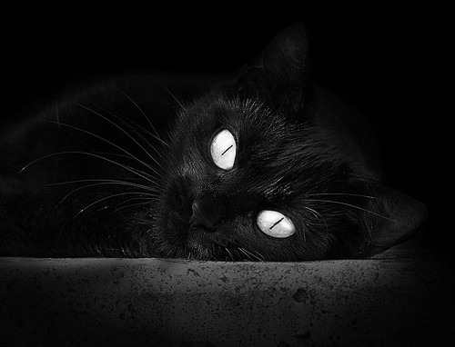 九游sports-体育产业资本逐步向篮球项目倾斜，发展潜力巨大，体育产业盈利模式