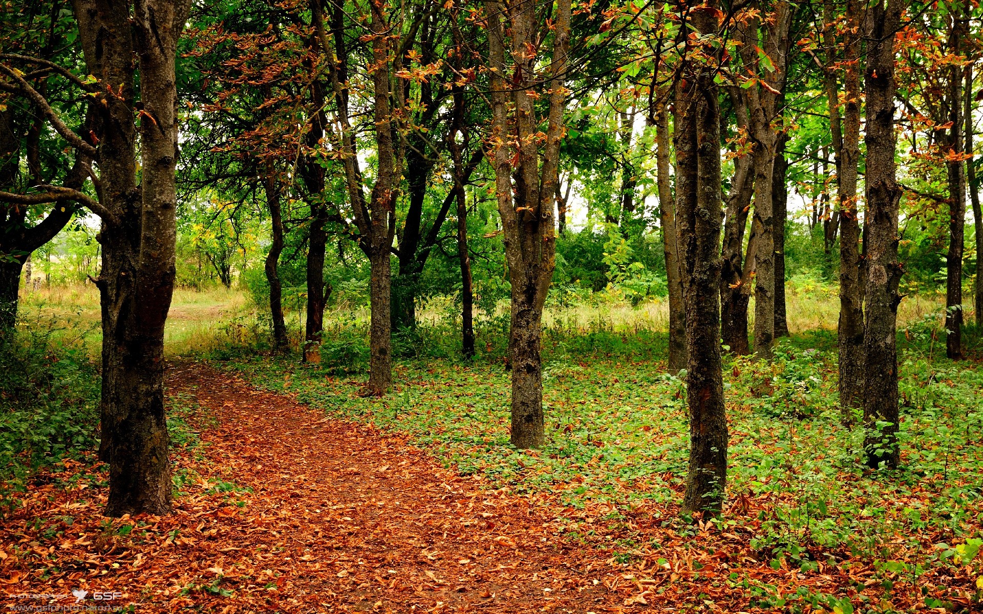 堡垒之夜更新加入第一人称视角,堡垒之夜是第几人称
