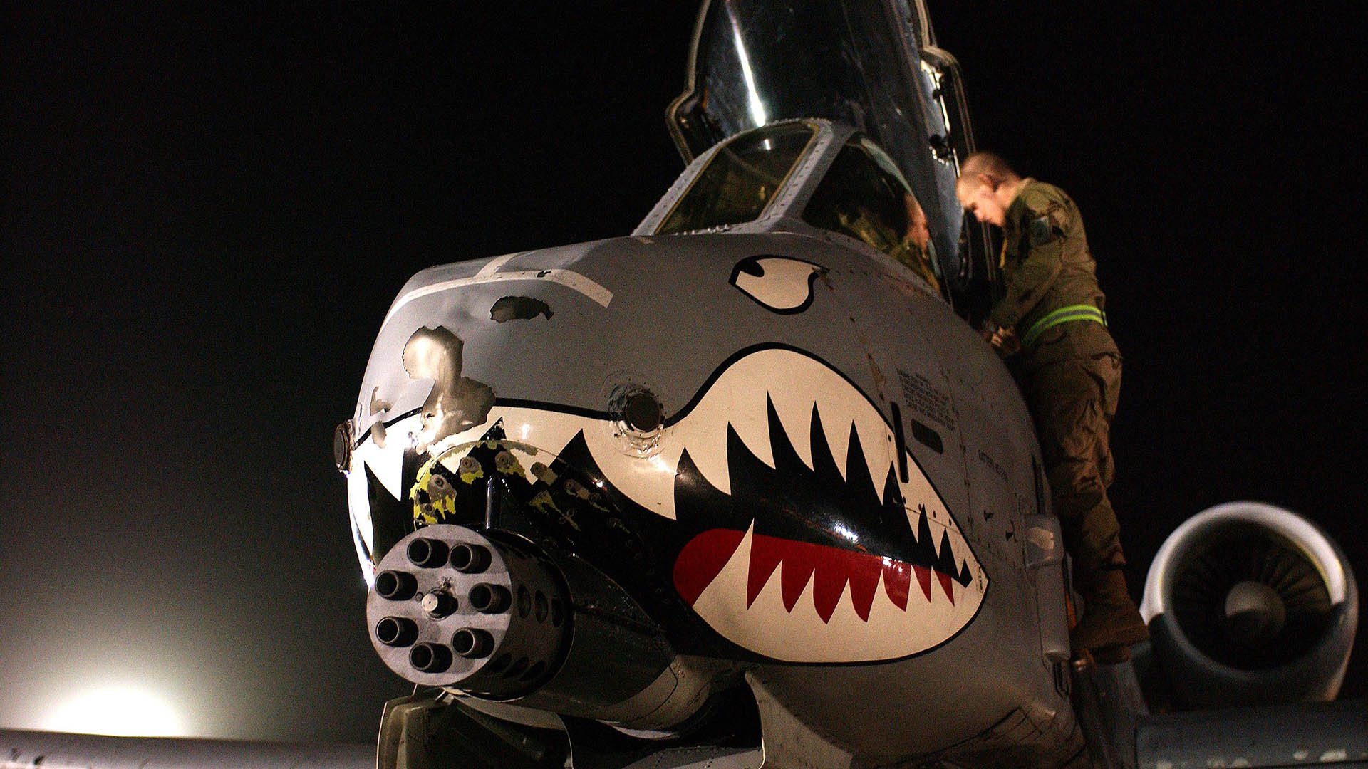 九游网页版官网-西雅图海湾人签约新赞助商，提升品牌影响力