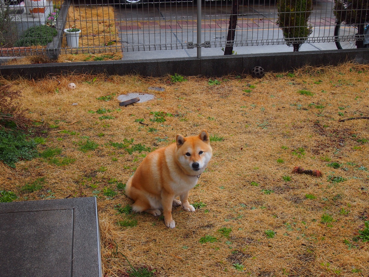 阿斯顿维拉中场控制力强，维拉公园再现辉煌，阿斯顿维拉队