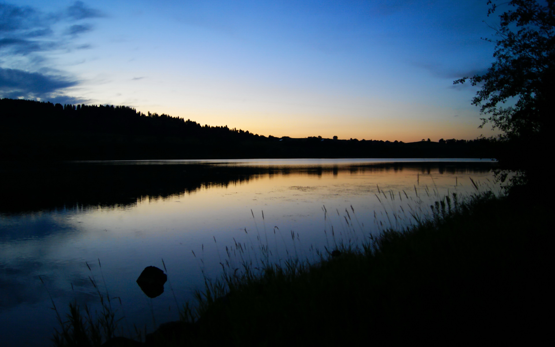 阿根廷队在足球比赛中取得激动人心的胜利,阿根廷 队