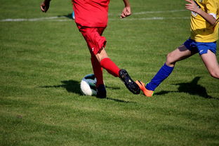 Jiuyou-世界男子排球联赛意大利主场折桂，意大利男子排球联赛直播