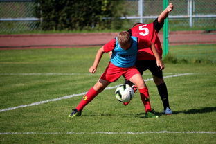 九游网页版官网入口-篮球运动员训练负荷监控系统开发与应用研究，篮球运动员运动负荷量