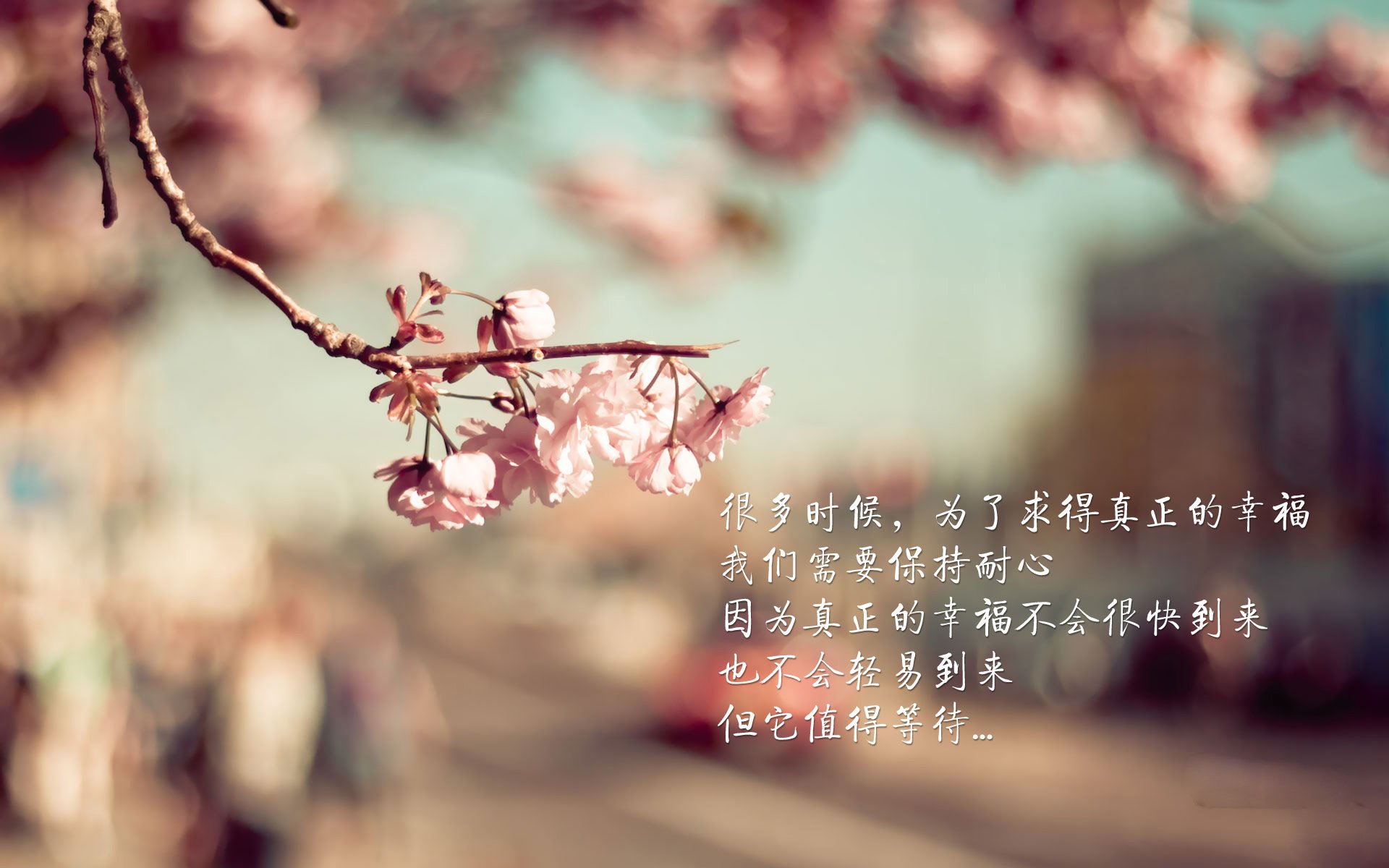 中国女篮技术动作日趋规范,女篮战术技巧