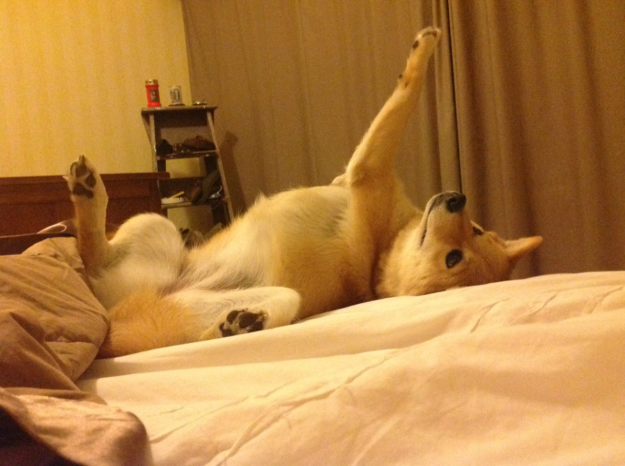 九游娱乐-中超联赛中国女足晋级 球员配合默契提升，中超女足比赛