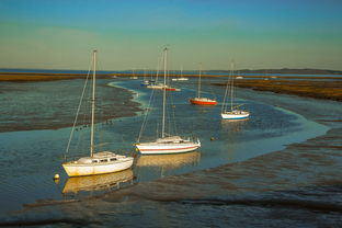 九游网页版官网-兴隆湖上演“国际艇战”，多国精英争锋