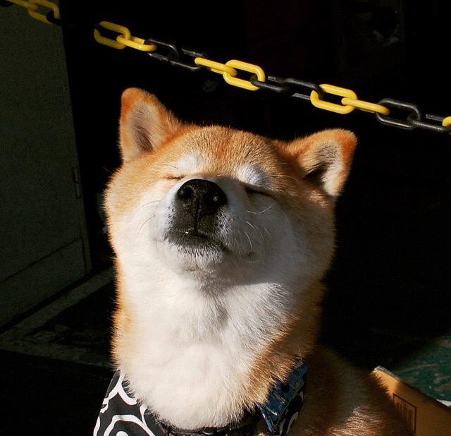 图卢兹节奏压制迫使对方陷入混乱,图卢兹是什么意思