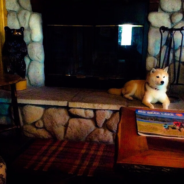 阵型下跑位空间利用差异对执行效率的影响