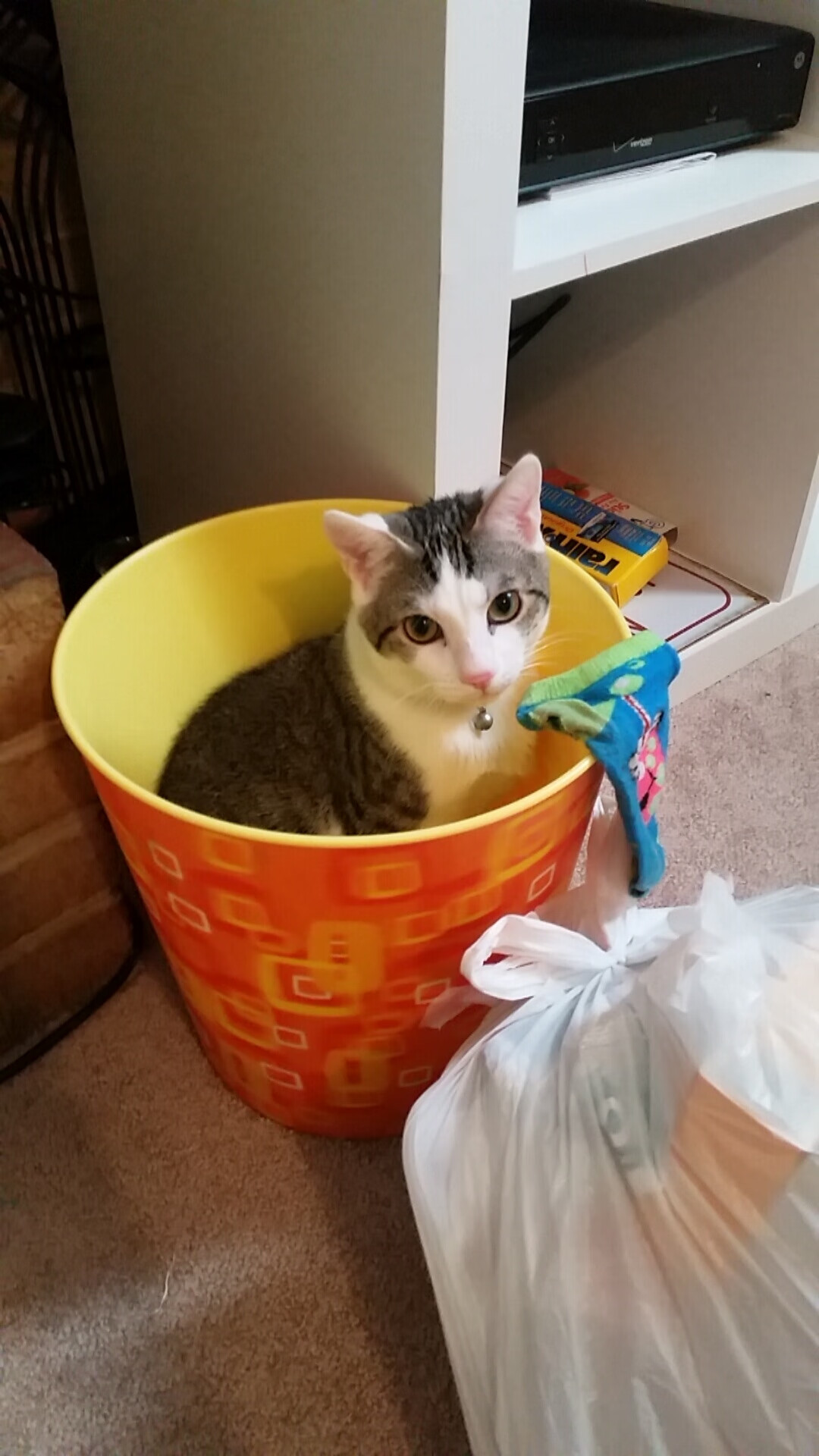 南非男篮在非洲锦标赛中表现优异,取得历史新高